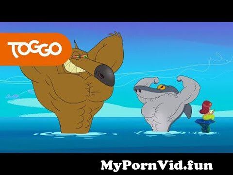 Zig und sharko porn