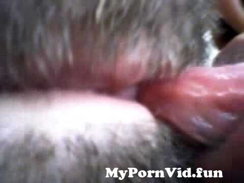 Lesbian Lick Hairy Pussy