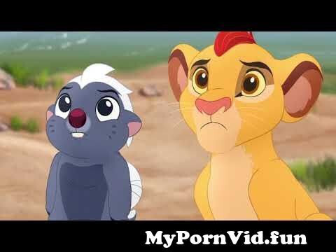 Löwen porn der Animal Porn