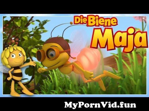 Porn biene maja Maya_the_Bee