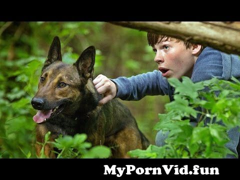 German dog porn