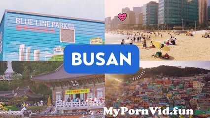 In Busan porn many Full of