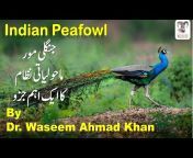 Wildlife with Dr. Waseem