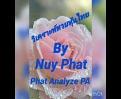 Phat Analyze PA