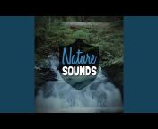 Nature Sounds - Topic