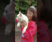 kid vs cat