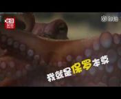 北京时间官方频道——Beijing Time Official Channel