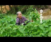 玉林阿婆Guangxi grandma