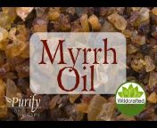 Purify Skin Therapy Organic Essential Oils