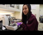 NIH IRP (Intramural Research Program at the National Institutes of Health)