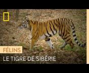 National Geographic Wild France