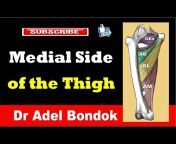 Dr Adel Bondok Anatomy Channel
