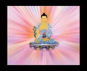 菩提禪修 Bodhi Meditation Main Channel