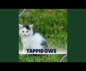 Tappid OWS - Topic