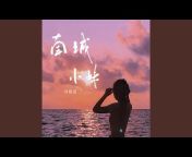 刘晓晨 - Topic