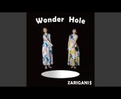 zariganidollar - Topic