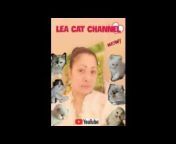 LEA CAT CHANNEL