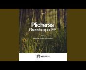 Plicherss - Topic