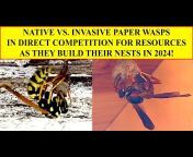 Green Wasp Removal