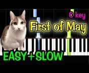 Cat Play Piano
