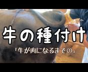 田中畜産の和牛チャンネル