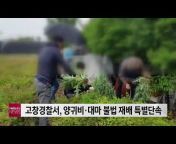 헬로tv뉴스 전북