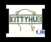 KittyHub