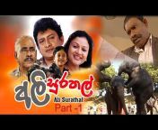 Sunil T Films