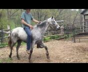 Sexton’s Horse u0026 Mule Company
