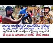 News Sri lanka
