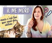 Absolument Chats