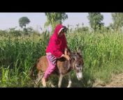 Donkey rider lady