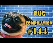 pugscompilation1