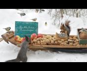 Movie Squirrels