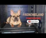 Prime Frenchies TV