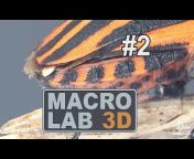MacroLab3D