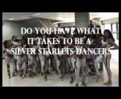 Silver Starlets Dance Team
