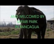 Santuário de Elefantes Brasil