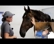 Pferdephysiotherapie Hof Eicheneck