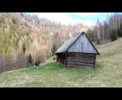Wild forests of the Carpathians