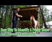 Stable Horse Training