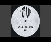 C.A.R. 29 - Topic
