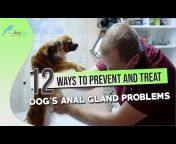 Top Dog Tips