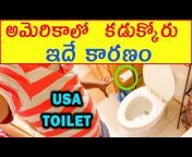 USA RAJA Telugu vlogs