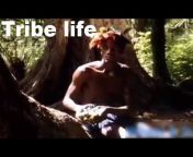 Wild Tribes