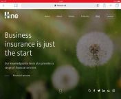Hine Chartered Insurance Brokers