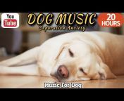 HealingMate - Dog Music
