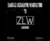 Z.L.W Music