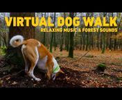 Harmony Hounds - Relaxing Music for Dogs