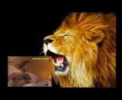 Lioncaps Videos